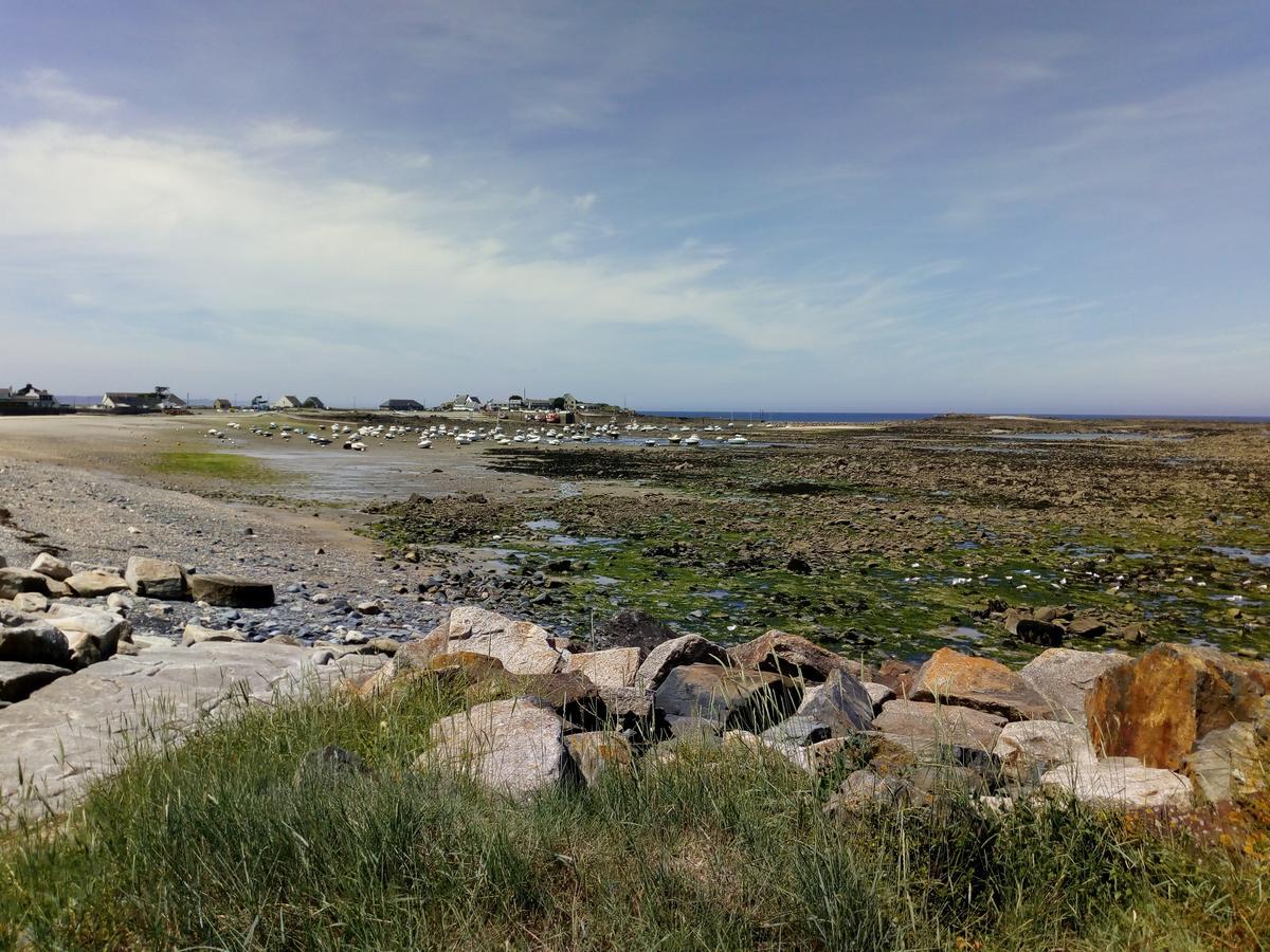 Grand Hotel De Port Blanc Penvénan Eksteriør bilde